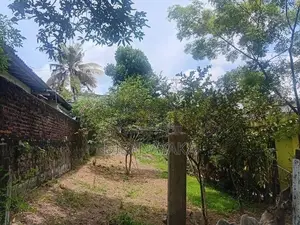 Super Land for Sale in Pitakotte DS20906