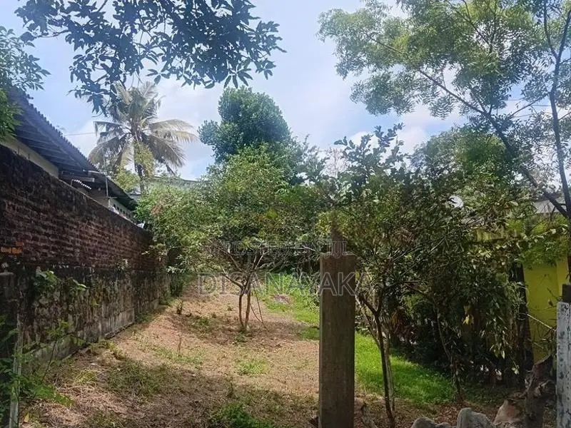 Super Land for Sale in Pitakotte DS20906