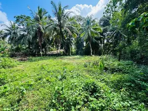 40 Perches Land for Sale in Bandaragama