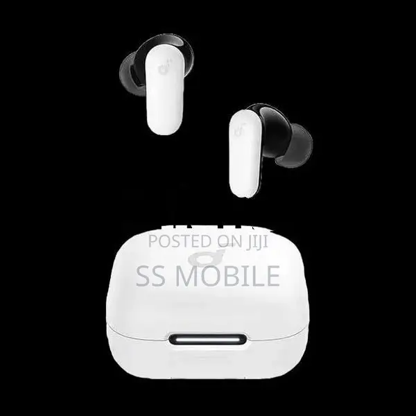 Anker Soundcore R50i Earpods