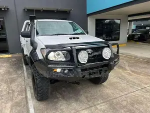 Hilux Vigo Bull Bar