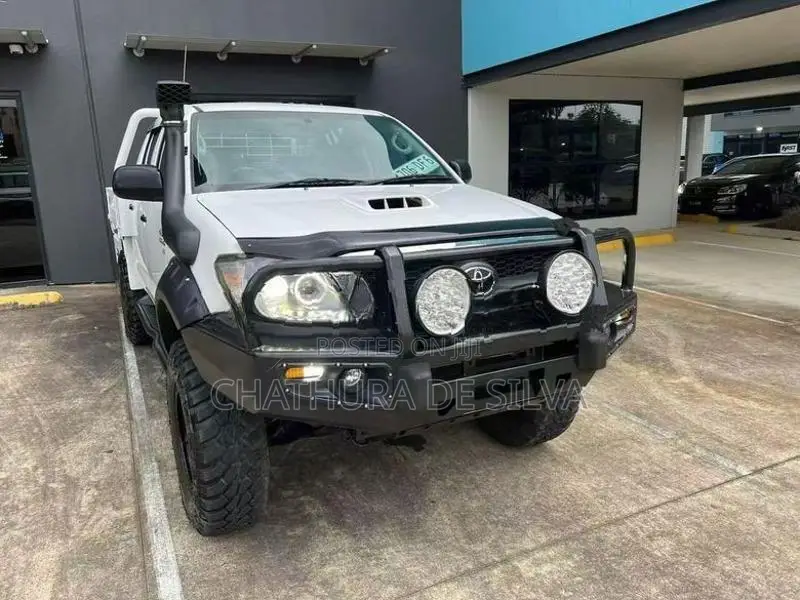 Hilux Vigo Bull Bar
