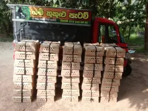 கோழி குஞ்சு