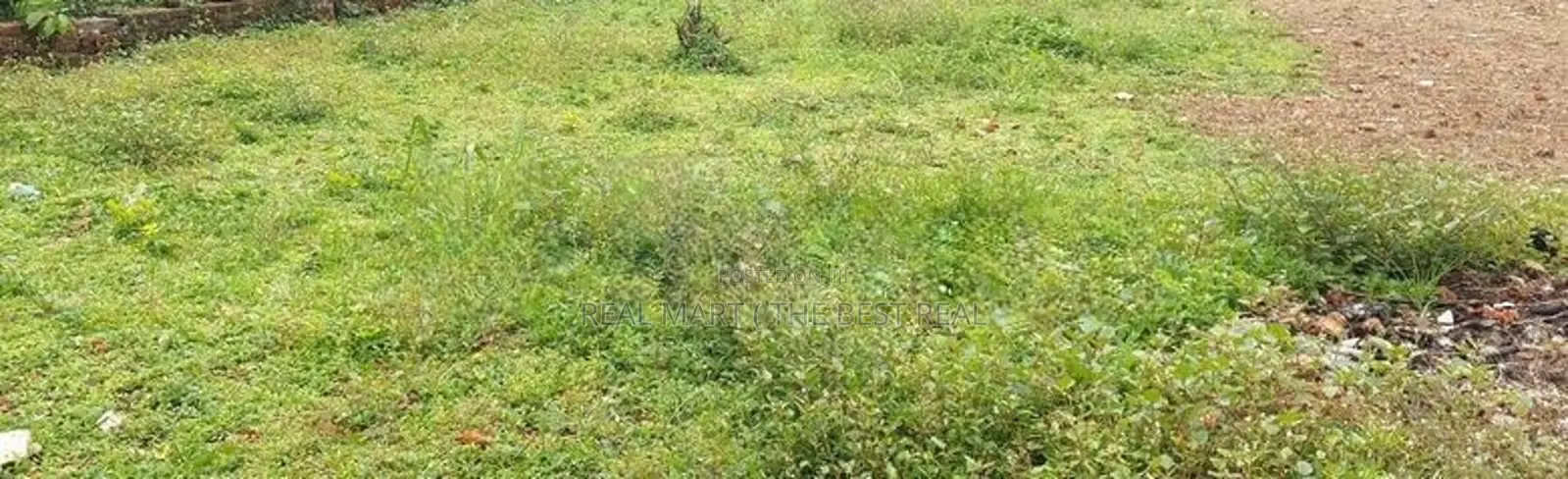 Kalutara : 201.42 Perches Land for Sale at Liyanagoda