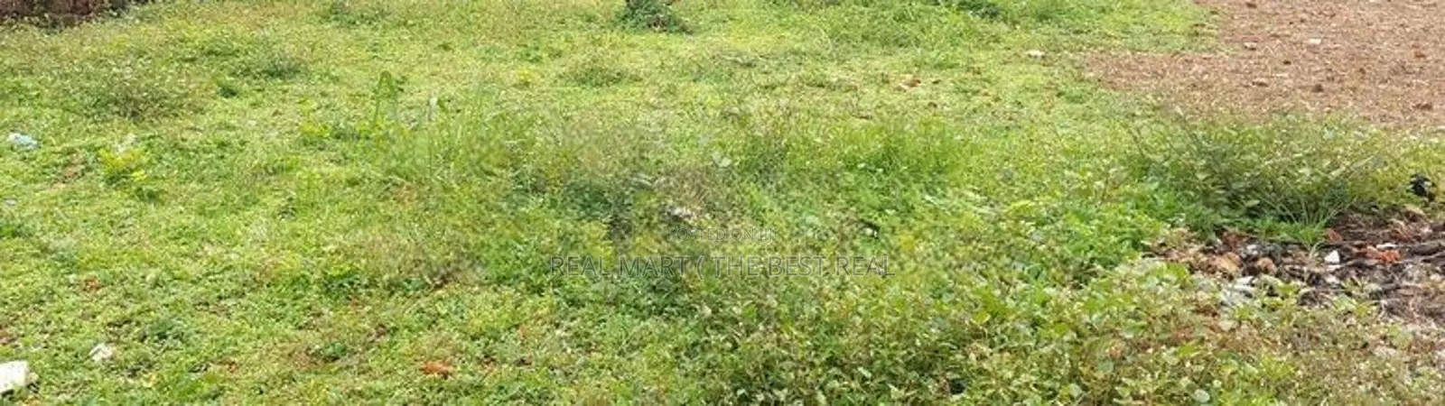 Bandarawela : 38 Perches Land for Sale at Spring mawatha