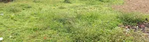 Bandarawela : 38 Perches Land for Sale at Spring mawatha