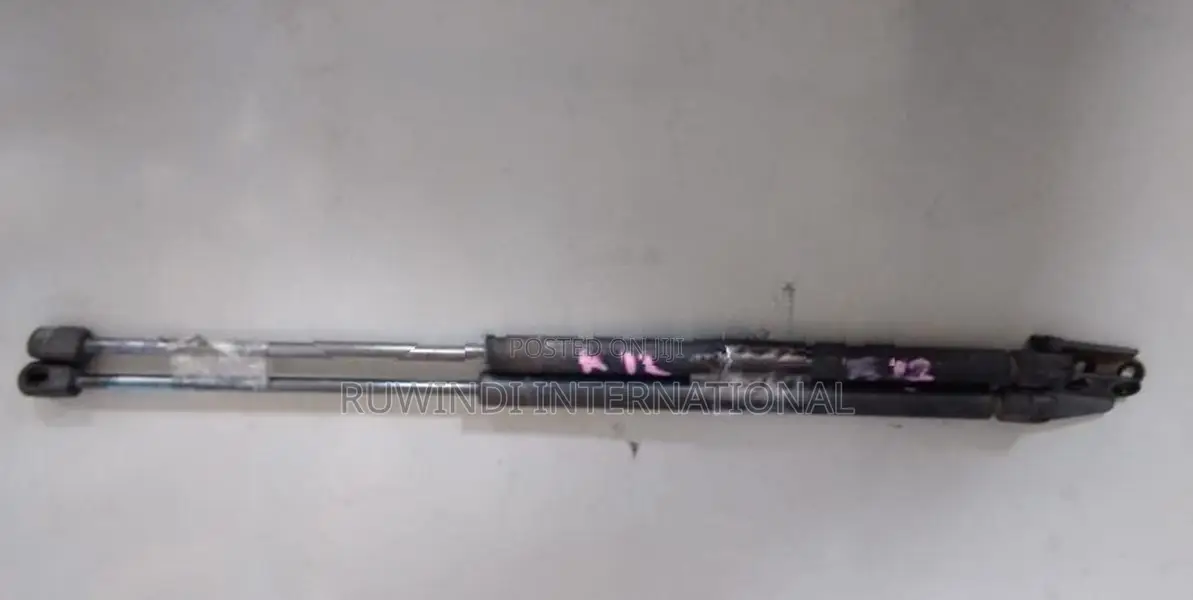 Nissan March K12 Dickey Door Shock Set