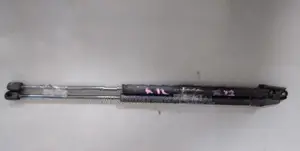 Nissan March K12 Dickey Door Shock Set