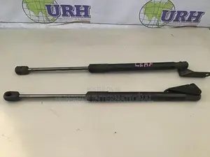 Nissan Leaf Dickey Door Shock Set