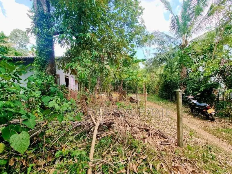 නිට්ටඹුව වතුපිටිවල පර්චස් 6 ඉඩම විකිණීමට