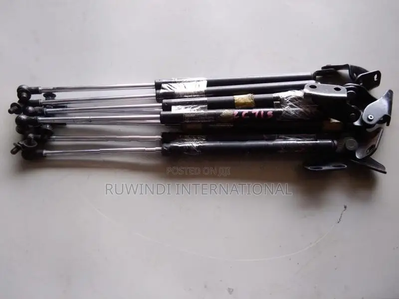 Suzuki Swift Zc71 S Dickey Door Shock Set