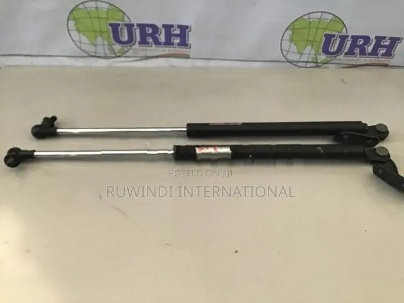 Suzuki Swift Zc31 S Dickey Door Shock Set