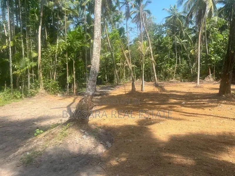 Prime 40 Perch Residential Land in Gampaha | SL14747