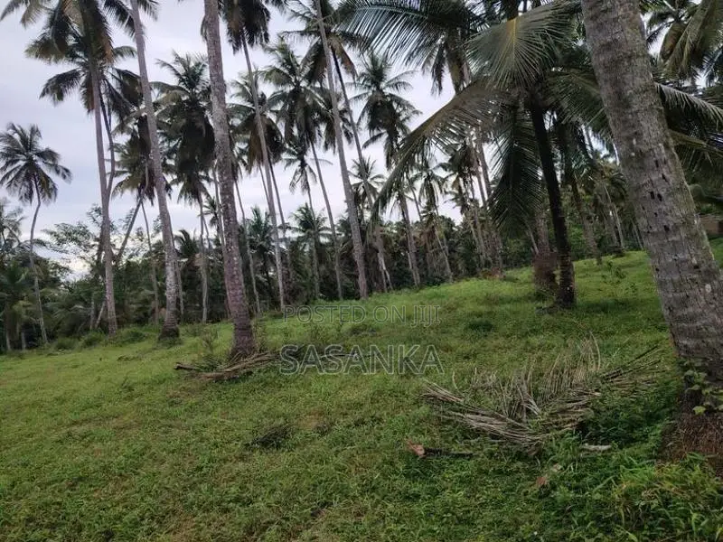 නුවර පාරට ආසන්යේ . (අත්තනගල්ල) අක්කර 35 සුපරි ඉඩමක් විකිණීමට