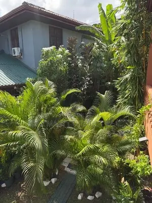 Nawala : 25 Perches Land with Liveable Two houses for sale