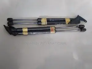 Nissan Leaf Dickey Door Shock Set