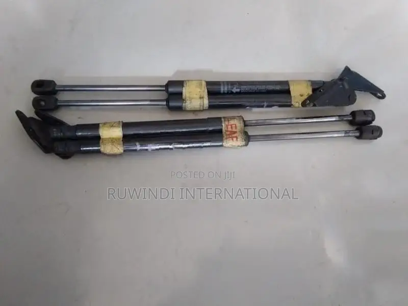Nissan Leaf Dickey Door Shock Set