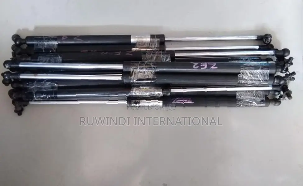 Honda Insight Ze2 Dickey Door Shock Set