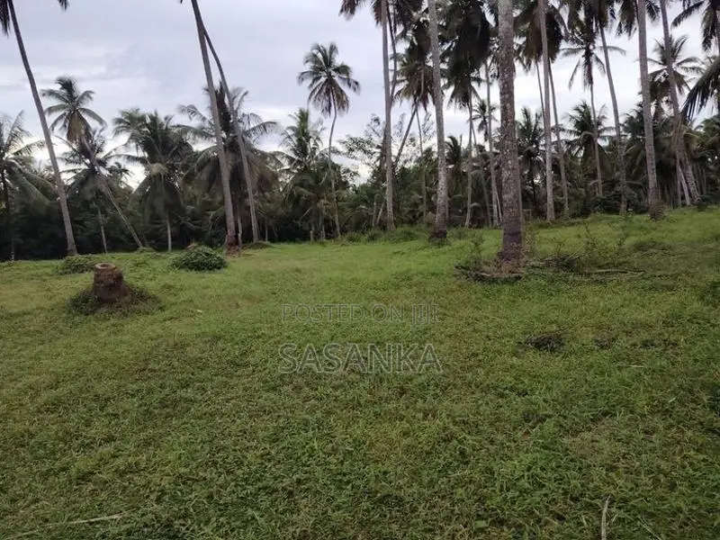 නුවර පාරට ආසන්යේ . (අත්තනගල්ල) අක්කර 35 සුපරි ඉඩමක් විකිණීමට