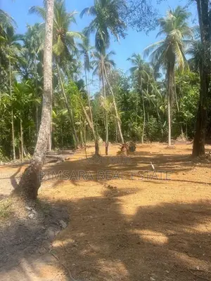 Prime 40 Perch Residential Land in Gampaha | SL14747
