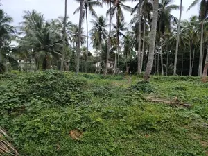 නුවර පාරට ආසන්යේ . (අත්තනගල්ල) අක්කර 35 සුපරි ඉඩමක් විකිණීමට