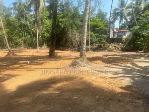 Prime 40 Perch Residential Land in Gampaha | SL14747