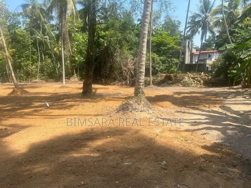 Prime 40 Perch Residential Land in Gampaha | SL14747