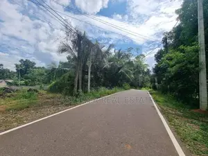 Land for Sale in Veyangoda,keenawala