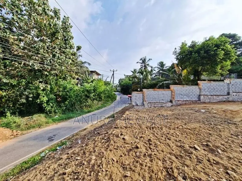 හෝමාගම, පිංකෙත පාරට මුහුණලා පිහිටි ඉඩමක් විකිණීමට ඇත. (ID : HMGA004S)