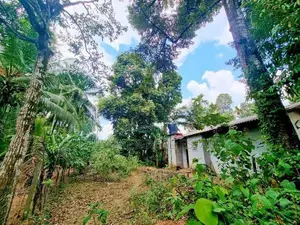 නිට්ටඹුව වතුපිටිවල පර්චස් 6 ඉඩම විකිණීමට