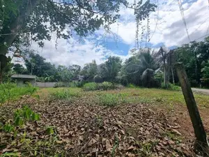 Land for Sale in Veyangoda,keenawala