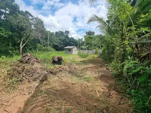 Land for Sale in Veyangoda,keenawala