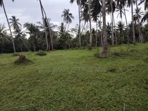 Attanagalla : 35 Acres Land for Sale Near Kandy road