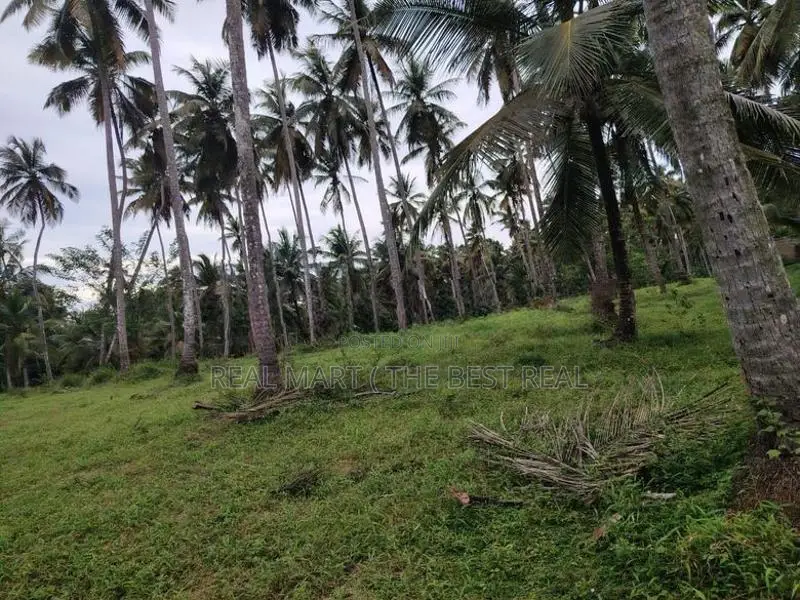 Attanagalla : 35 Acres Land for Sale Near Kandy road