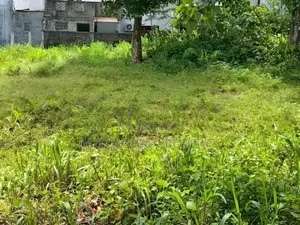 Land for Sale in Dehiwala