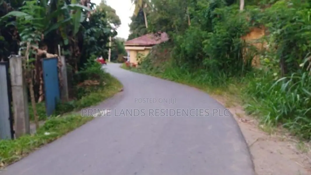 Lands for Sale in Ambathanna (Pujapitiya Road)