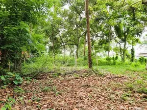 කිරිදිවැල – රතඹලේ, රඹුටන්වත්ත වෙන්දේසි ඉඩමෙන් බිම්කොටසක්