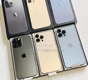 Apple iPhone 13 Pro 256GB (Used)