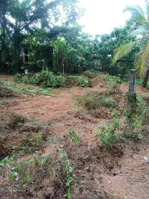Land for Sale in Hanwella