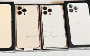 Apple iPhone 13 Pro Max 256GB (Used)