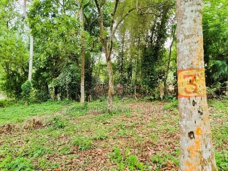 කිරිදිවැල – රතඹලේ, රඹුටන්වත්ත වෙන්දේසි ඉඩමෙන් බිම්කොටසක්