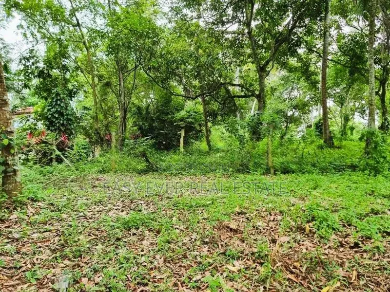 කිරිදිවැල – රතඹලේ, රඹුටන්වත්ත වෙන්දේසි ඉඩමෙන් බිම්කොටසක්