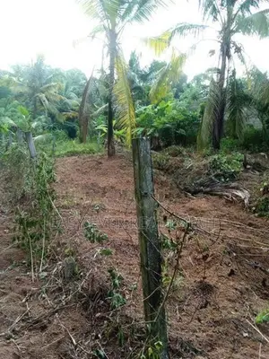 Land for Sale in Hanwella