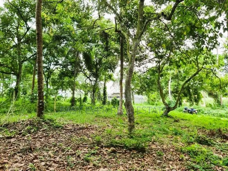 කිරිදිවැල – රතඹලේ, රඹුටන්වත්ත වෙන්දේසි ඉඩමෙන් බිම්කොටසක්