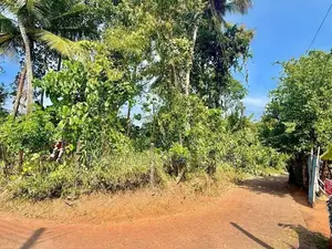 නුවර - කොලඹ ප්‍රධාන මාර්ගයට 2.5km දුරින් වටිනා නේවසික ඉඩමක්