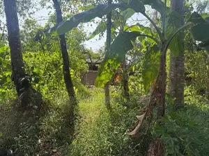 නුවර - කොලඹ ප්‍රධාන මාර්ගයට 2.5km දුරින් වටිනා නේවසික ඉඩමක්