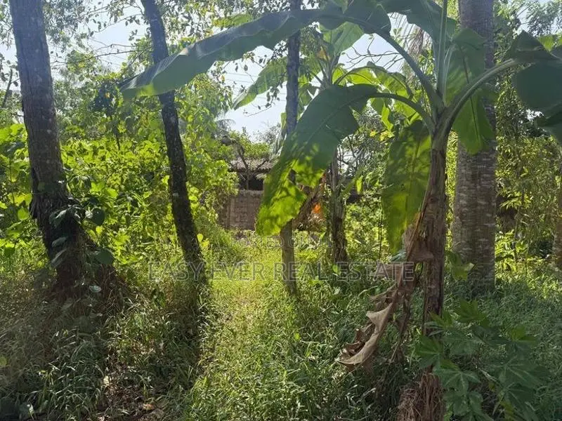 නුවර - කොලඹ ප්‍රධාන මාර්ගයට 2.5km දුරින් වටිනා නේවසික ඉඩමක්