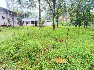 Land for sale in wathupitiwala