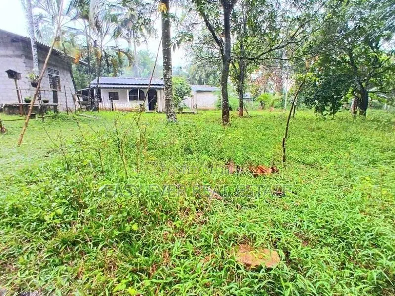Land for sale in wathupitiwala