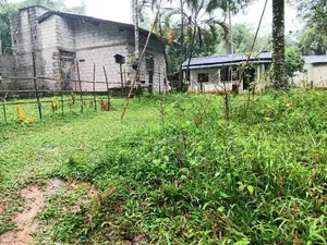 Land for sale in wathupitiwala
